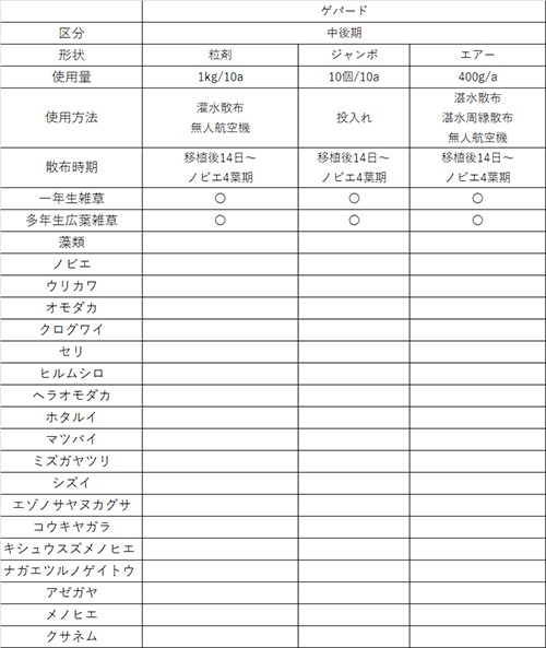 中後期01
