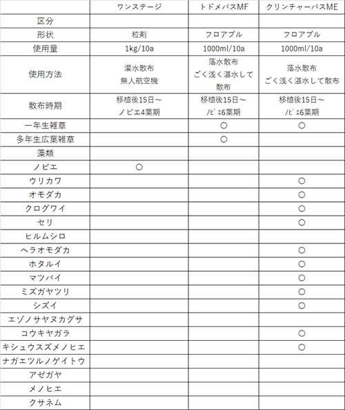 中後期04