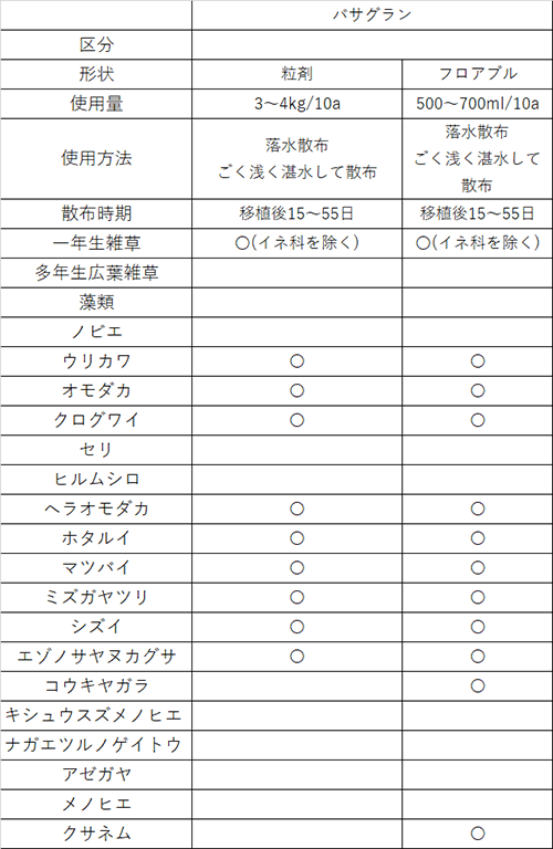 中後期05