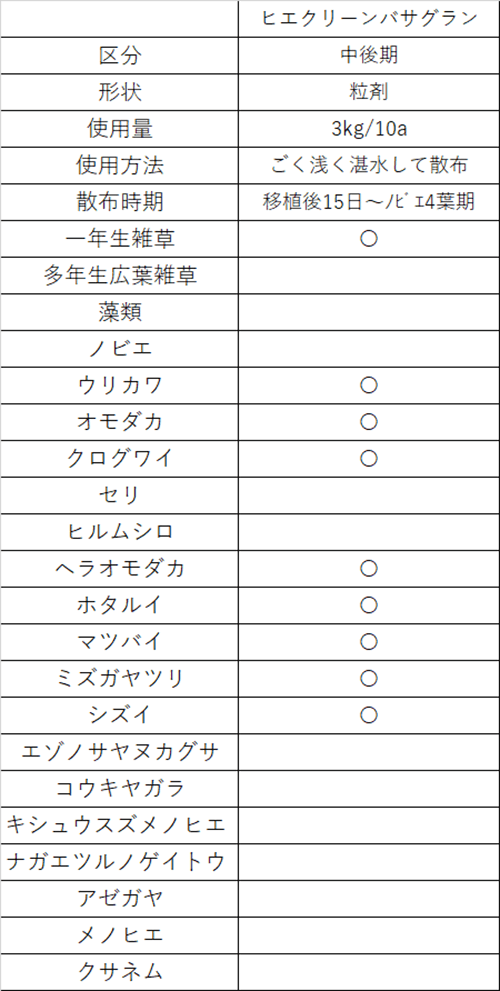 中後期06