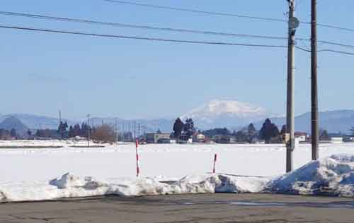 田んぼ雪
