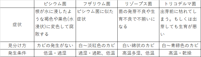 苗立枯病