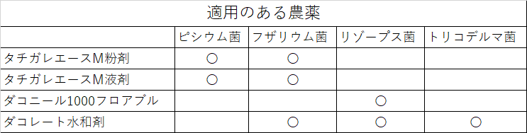苗立枯病②